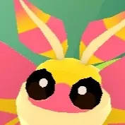 comment user avatar