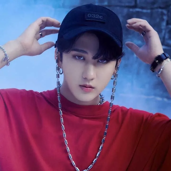 chat with ai character: Changbin