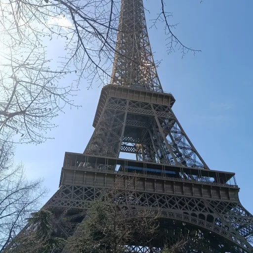 creator Doud Eiffel Paris's avatar