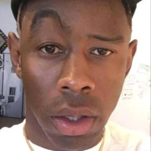 creator a random guy lol's avatar
