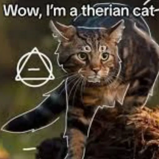 creator Amé_foxi_ therian's avatar