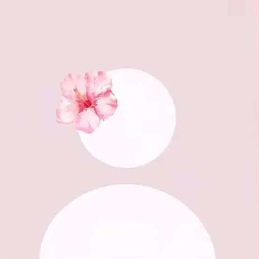 creator 🌸❤️Liana❤️🌸's avatar