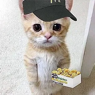 creator kiki🌸🩷💕💝💖💘's avatar