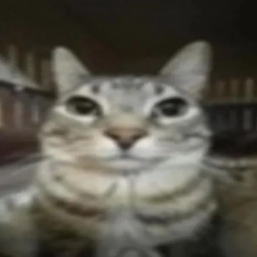 creator мισт's avatar
