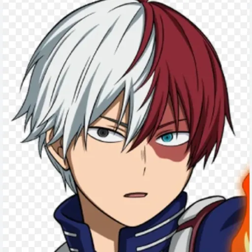 creator Shototodoroki1's avatar