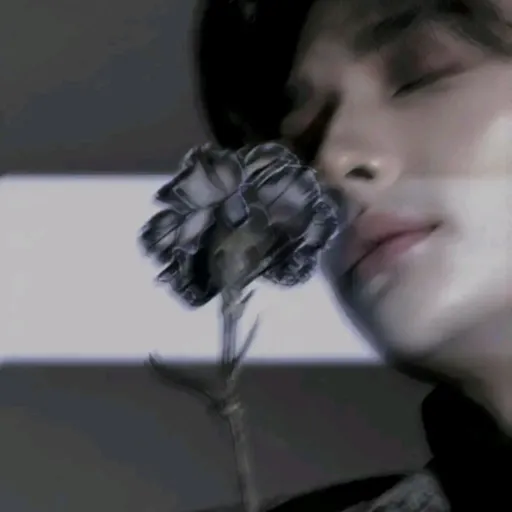 creator Han_DSOME guy's avatar