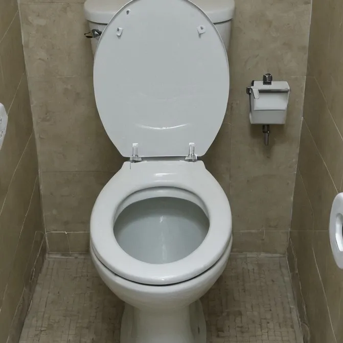 chat with ai character: Toilet simulator
