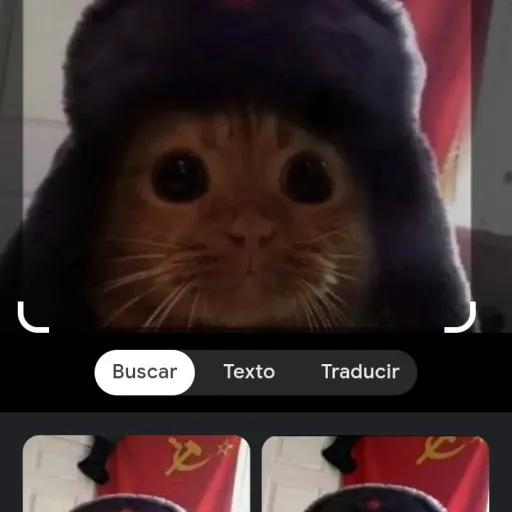 creator michi basado's avatar