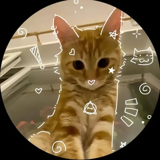 talkie's author avatar
