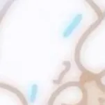 creator Cinnamon roll★'s avatar