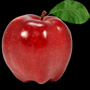 creator the apple🍎's avatar