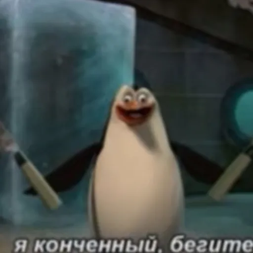 creator хаххаахах's avatar