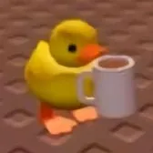 comment user avatar