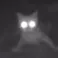 chat with ai character: Kitty Uhhhhhhhhh..