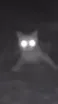 ai character: Kitty Uhhhhhhhhh.. background