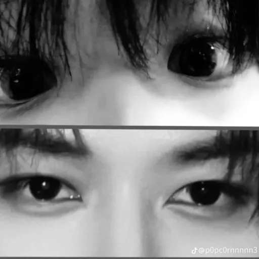 creator °•~𝓐𝓻𝓵𝓮𝓬𝓬𝓱𝓲𝓷𝓸~•°'s avatar