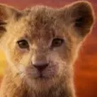 creator Katanga the mufasa's avatar