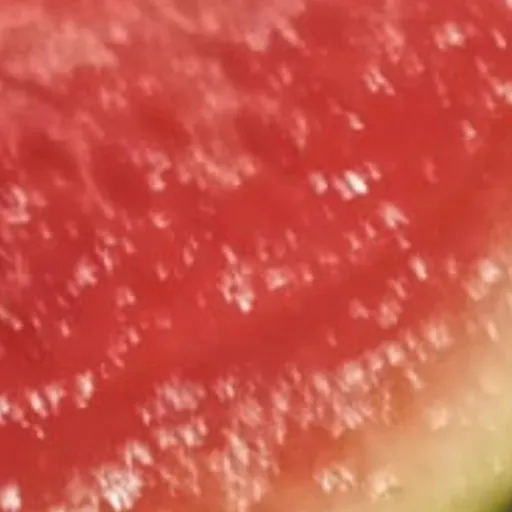 creator water_melon's avatar