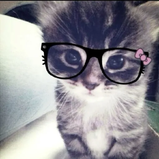 creator Sofy_Sophie's avatar