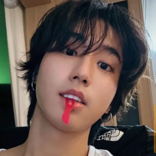 creator 🩵STAY🩵《⁸》Han's 🐿's avatar