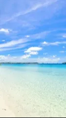 ai character: The Beach background