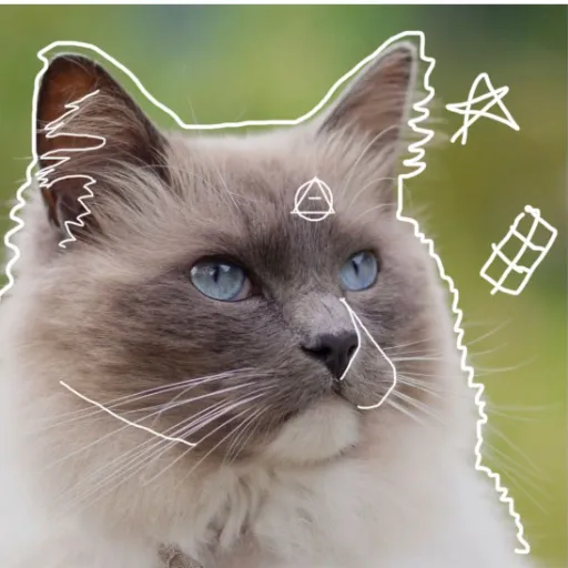 talkie's author avatar
