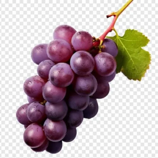 creator Purple_Agent🌂's avatar