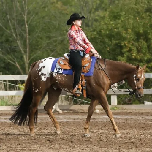 creator horsegirl128's avatar