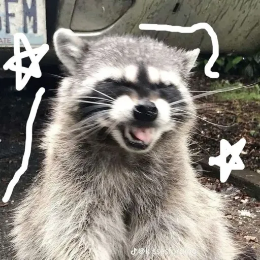 creator Kya!'s avatar