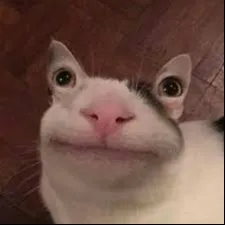 creator pop_cat_the_user's avatar