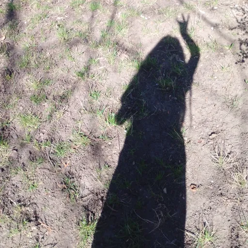 creator Женька♀️🤗's avatar