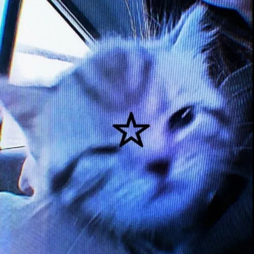 creator ✡︎~•𝗬𝗔𝗚𝗜•~✡︎'s avatar