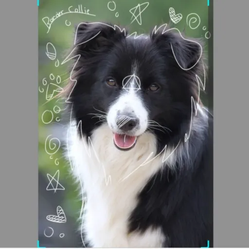 creator Milo_onpawz's avatar