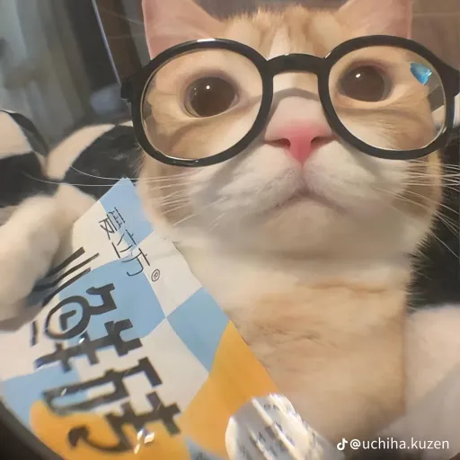 creator 匚卂ㄥㄥ乇几's avatar