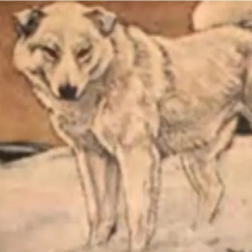 creator Spitz the husky's avatar