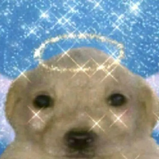 comment user avatar