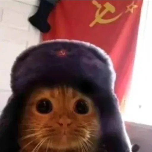 creator кот ссср's avatar