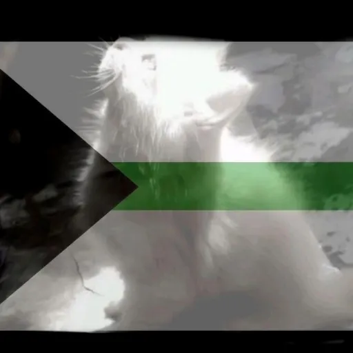 creator ꒰ঌHorimiya໒꒱'s avatar