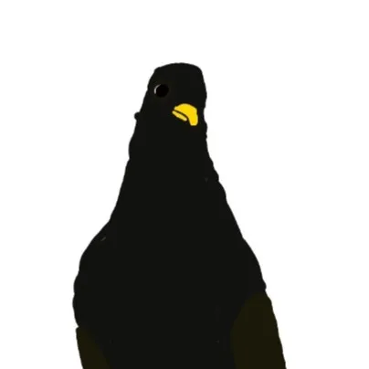 creator el pajaro's avatar