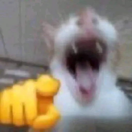 creator I'm under you bed's avatar
