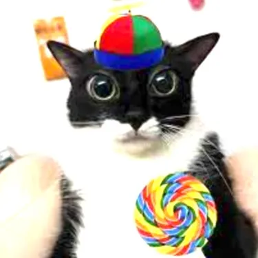 creator ◇☆♡~Silly~♡☆◇'s avatar