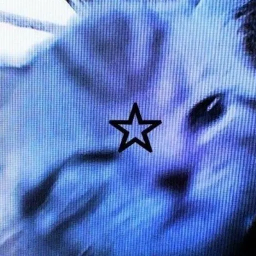 creator wormy°∆°'s avatar