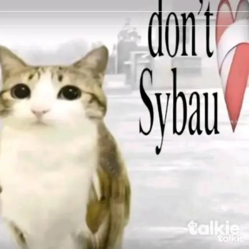 creator iam_meowl.'s avatar