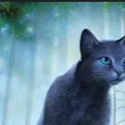 chat with ai character: Bluestar WC