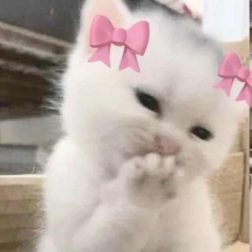 creator Amelia1383's avatar