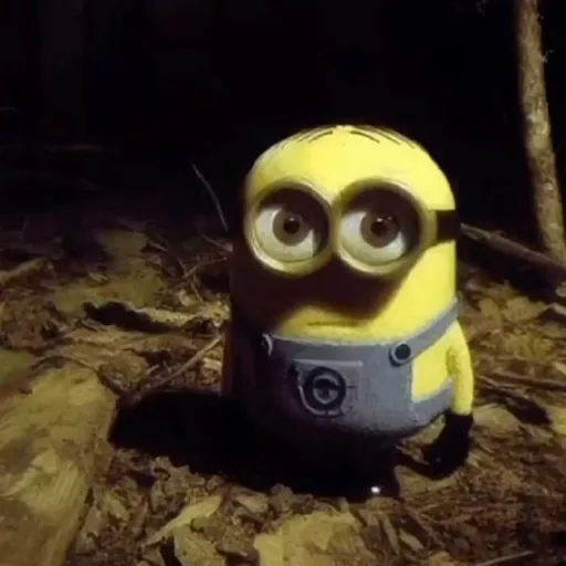 creator Minion perdido's avatar