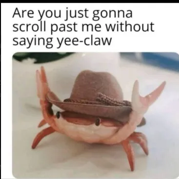 creator 🦀Yee Claw🦀's avatar