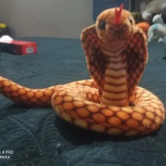 creator el cobra 🐍 cocodri's avatar