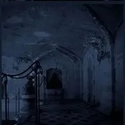 creator Sxania ★'s avatar