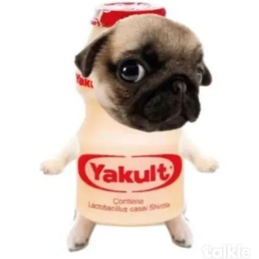 creator ---★°•소피•°★---'s avatar